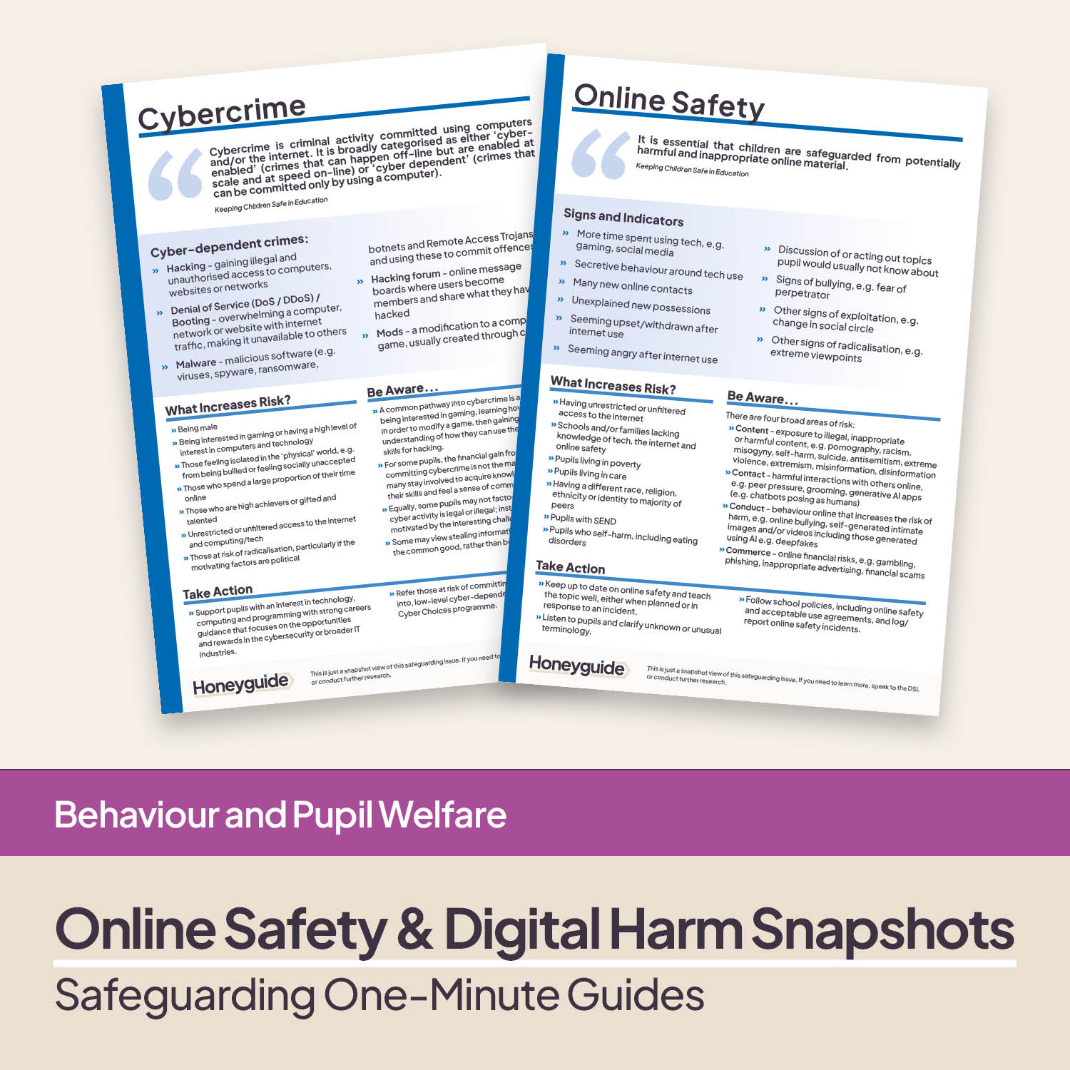 Safeguarding Snapshots - Online Safety and Digital Harms