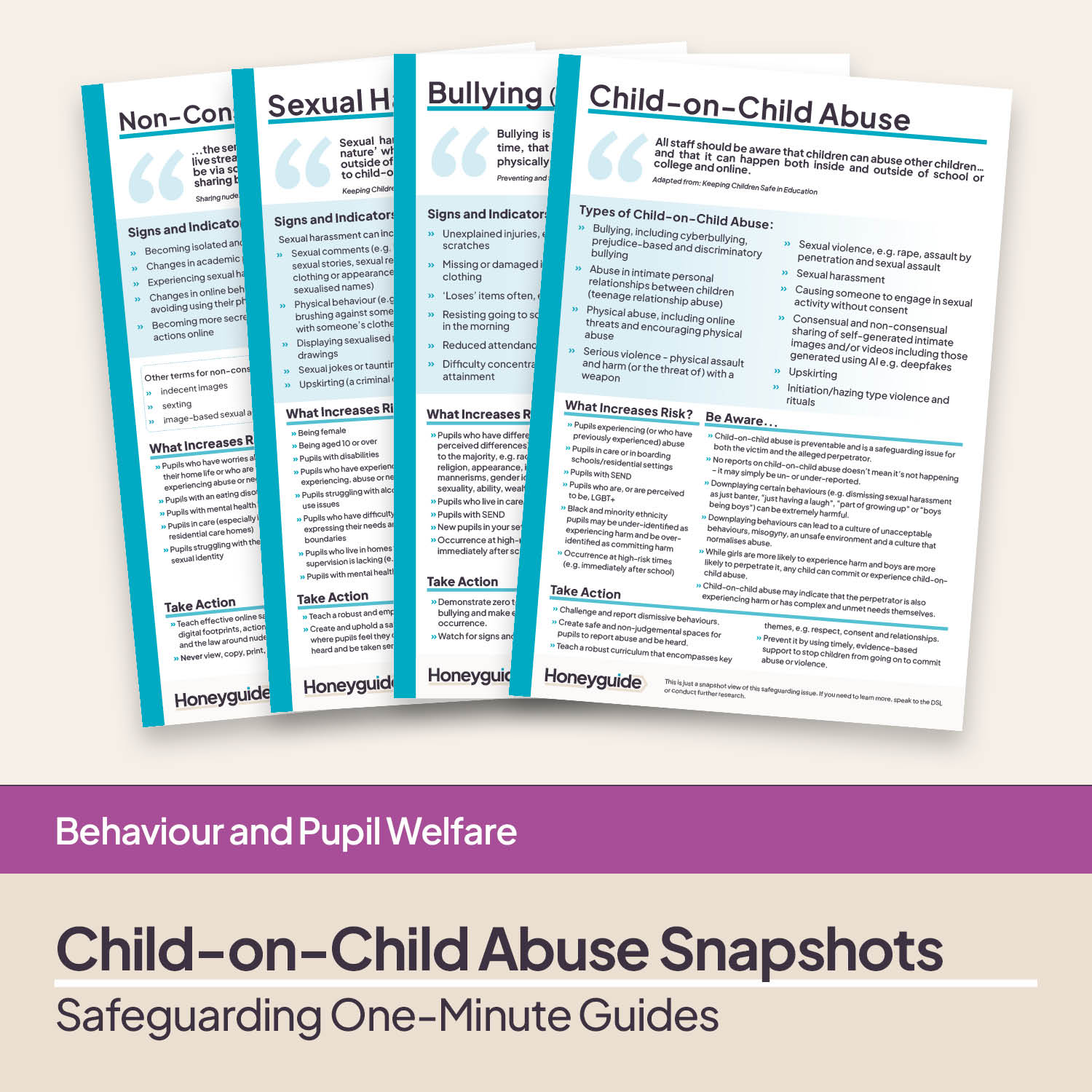 Safeguarding Snapshots - Child-on-Child Abuse