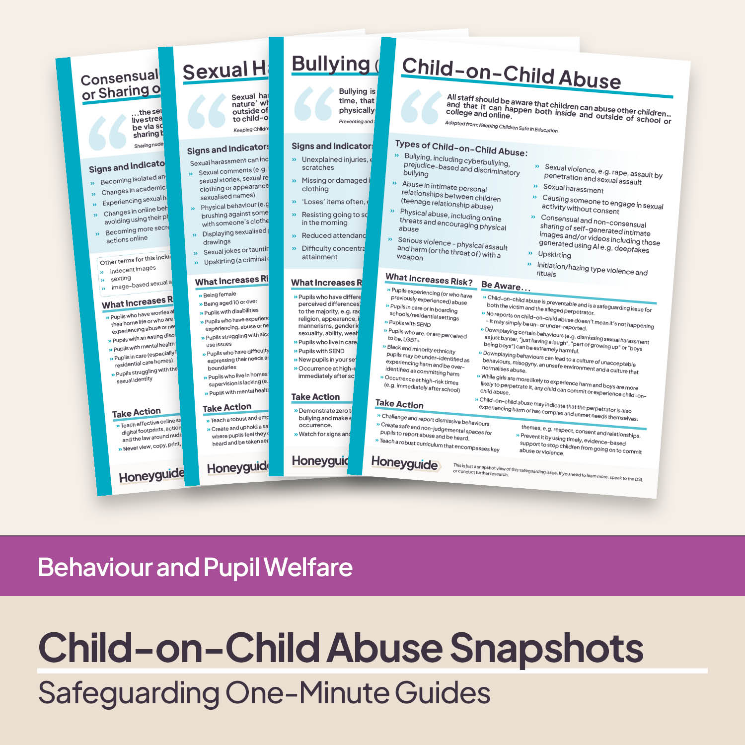 Safeguarding Snapshots - Child-on-Child Abuse