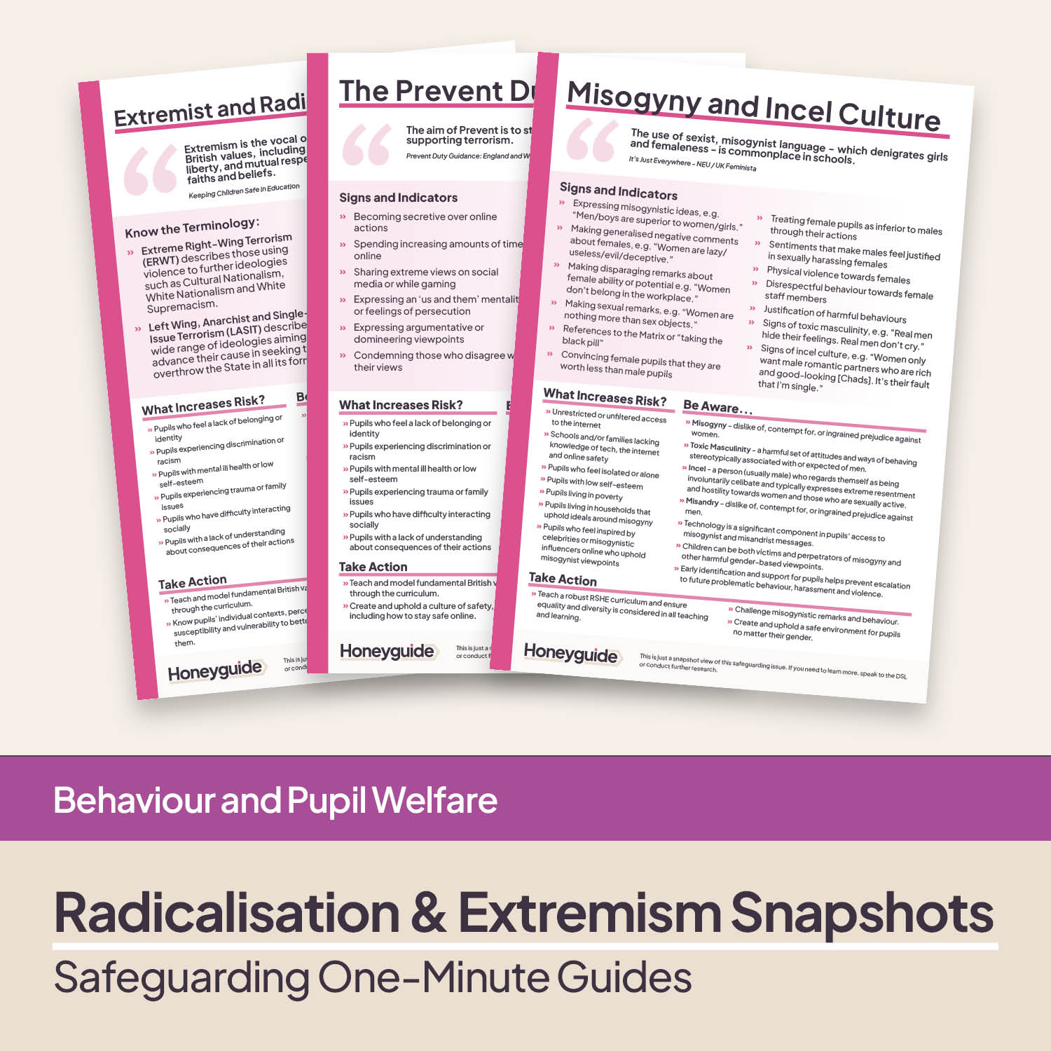 Safeguarding Snapshots - Radicalisation and Extremism
