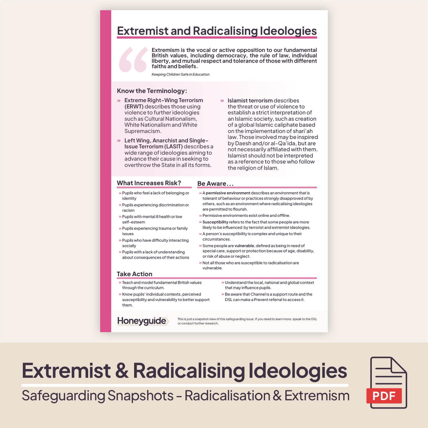 Safeguarding Snapshots - Radicalisation and Extremism