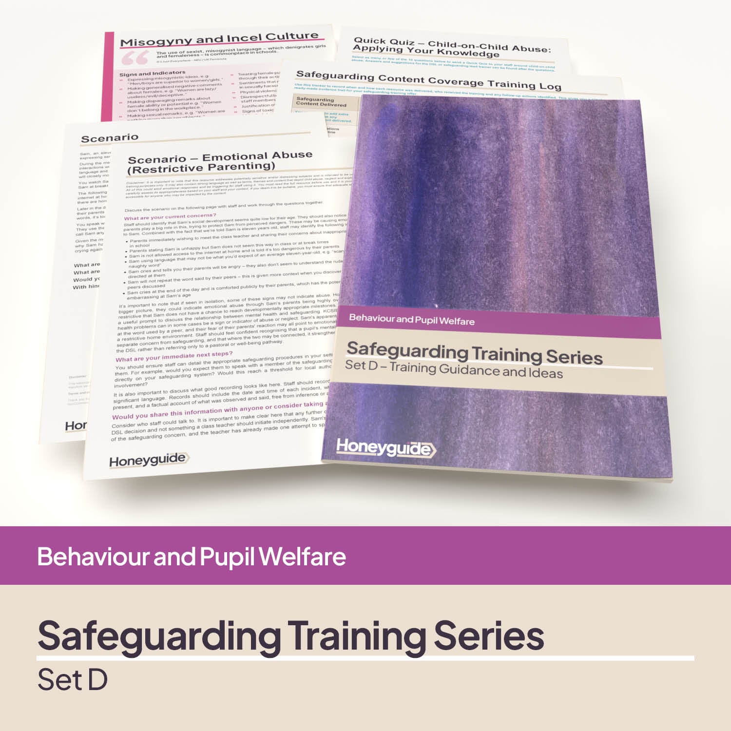 Safeguarding Training Series - Set D