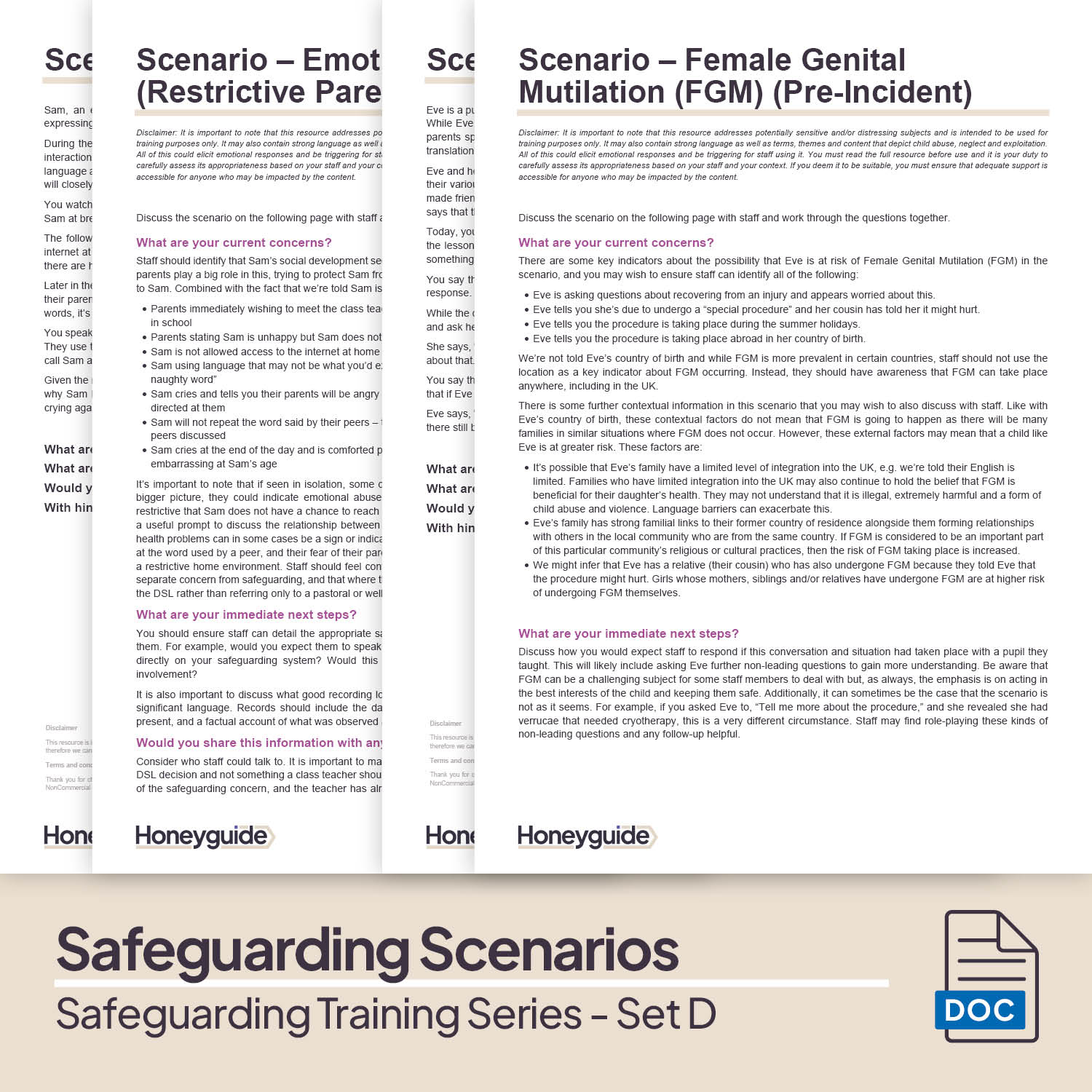 Safeguarding Training Series - Set D