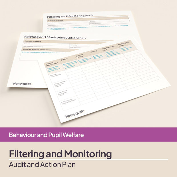 Filtering and Monitoring Audit and Action Plan