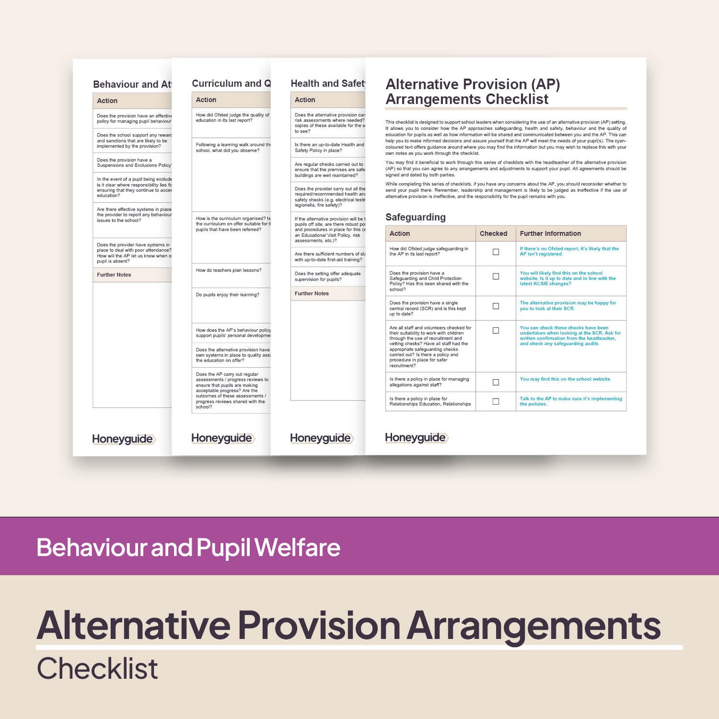 Alternative Provision (AP) Arrangements Checklist