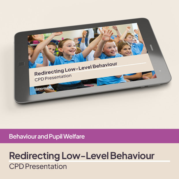 Redirecting Low-Level Behaviour: CPD Session | Honeyguide SLS ...