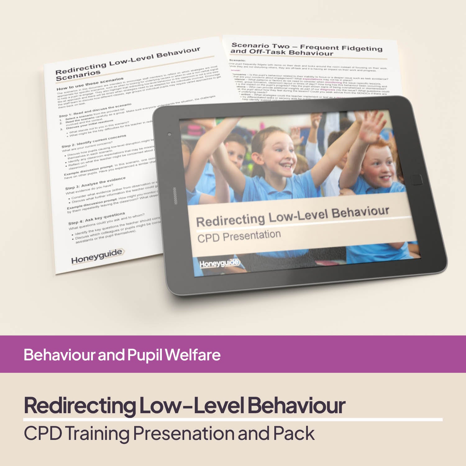 Redirecting Low-Level Behaviour: CPD Training Pack | Honeyguide SLS ...