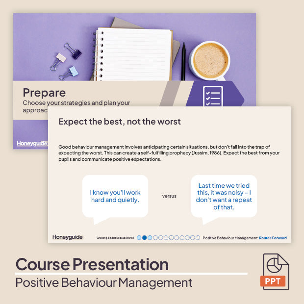 Positive Behaviour Management CPD Course