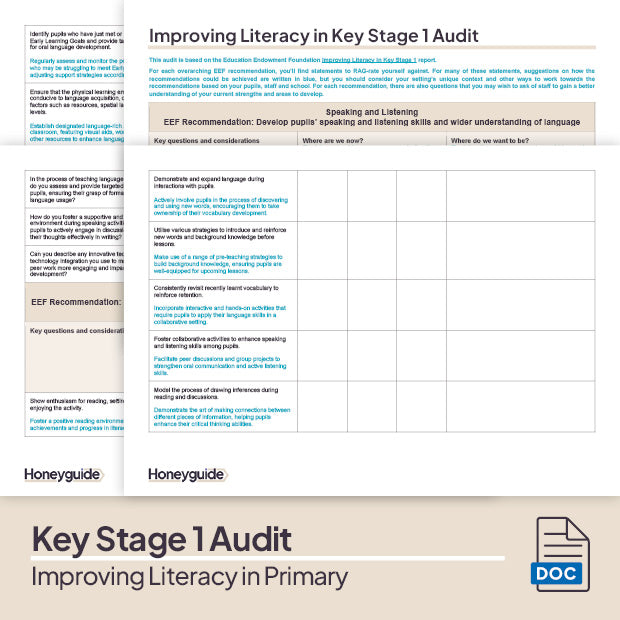 Improving Literacy in Primary - Audit Template Bundle