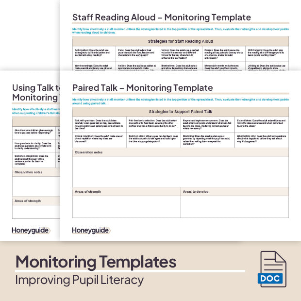 Improving Pupil Literacy Pack - Honeyguide School Leader Support