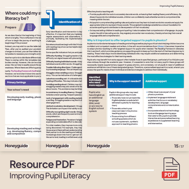 Improving Pupil Literacy Pack - Honeyguide School Leader Support