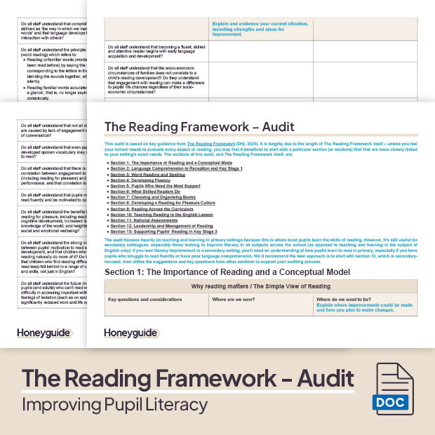 Improving Pupil Literacy Pack - Honeyguide School Leader Support