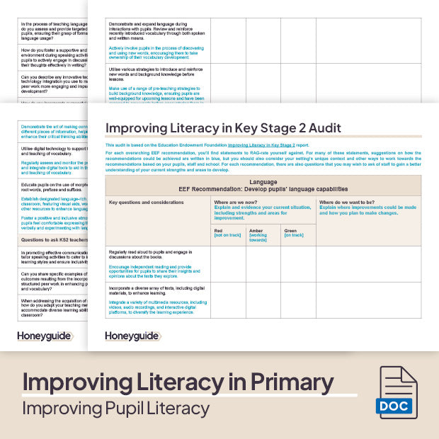 Improving Pupil Literacy Pack - Honeyguide School Leader Support