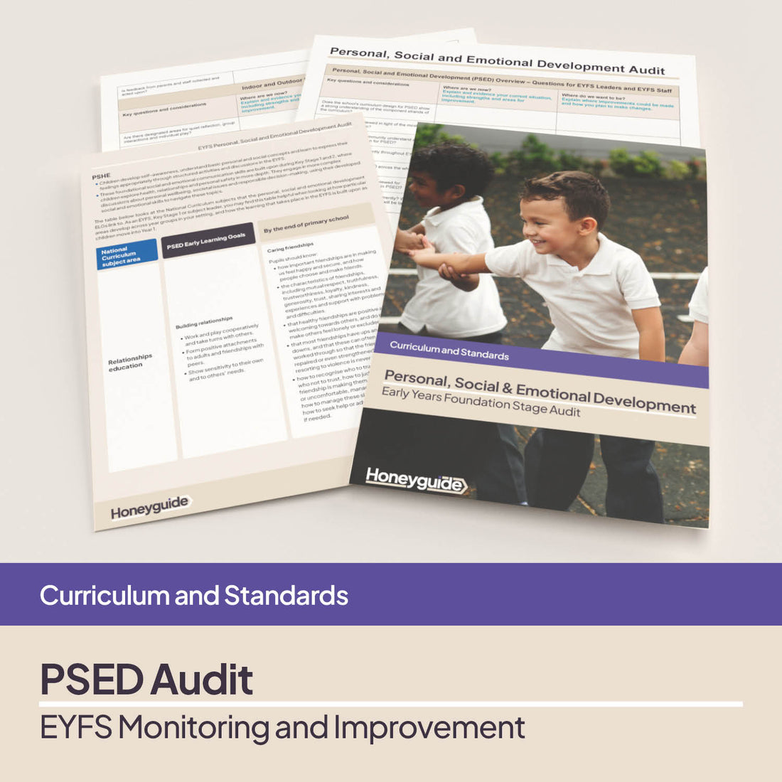 Personal, Social and Emotional Development Audit Pack | Honeyguide SLS ...