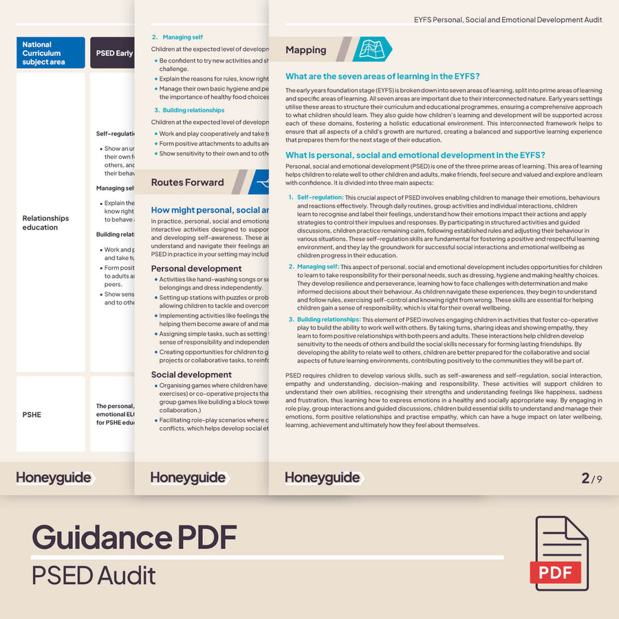 Personal, Social and Emotional Development Audit Pack | Honeyguide SLS ...