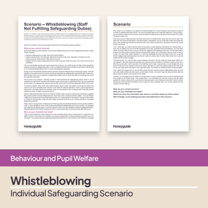 Safeguarding Scenarios - Concerns about Staff