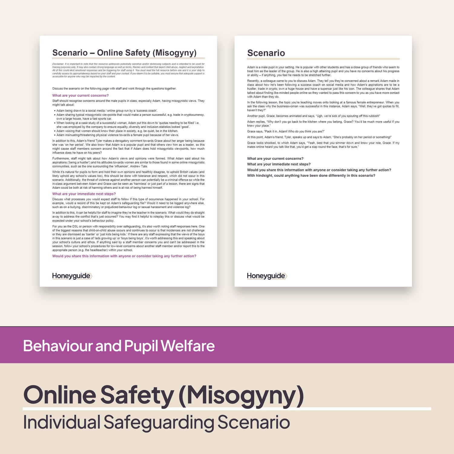 Safeguarding Scenarios - Online Harms