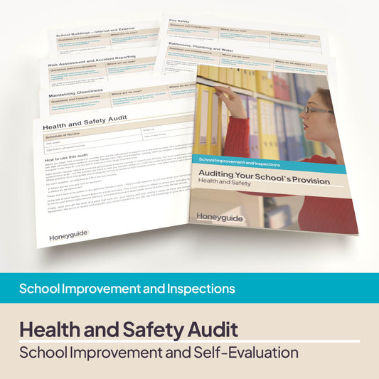 Health and Safety Audit and Action Plan