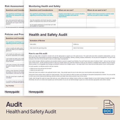 Health and Safety Audit and Action Plan