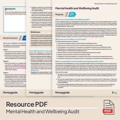 Mental Health and Wellbeing Audit