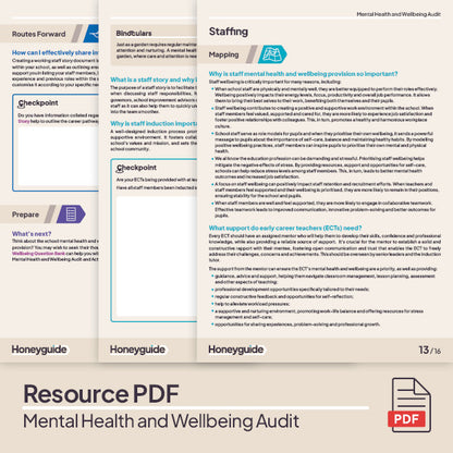 Mental Health and Wellbeing Audit
