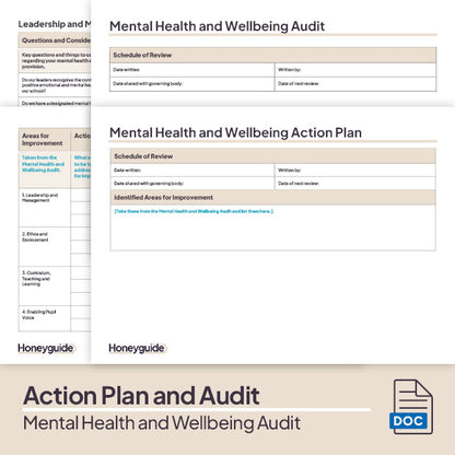 Mental Health and Wellbeing Audit