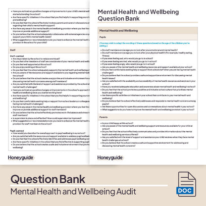 Mental Health and Wellbeing Audit