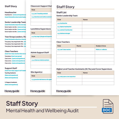 Mental Health and Wellbeing Audit