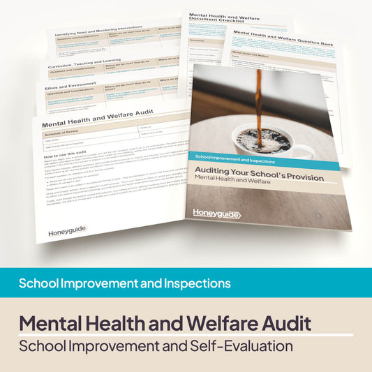 Mental Health and Welfare Audit