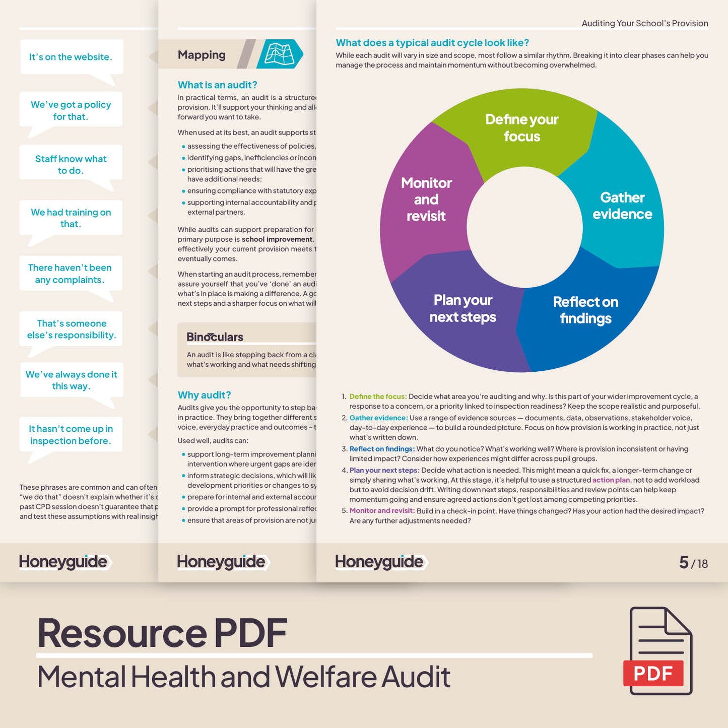 Mental Health and Welfare Audit