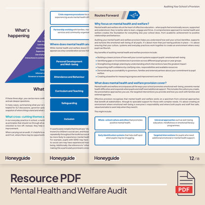 Mental Health and Welfare Audit