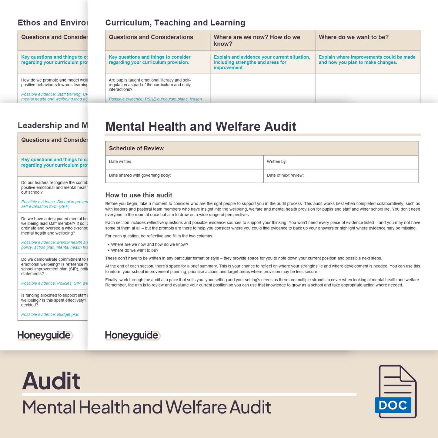 Mental Health and Welfare Audit