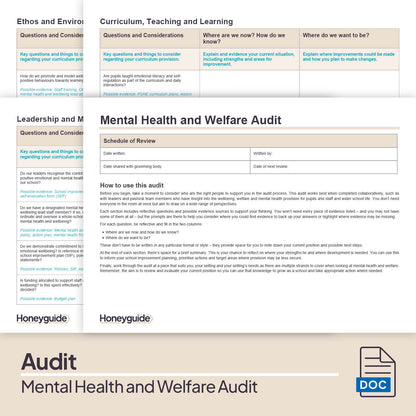 Mental Health and Welfare Audit