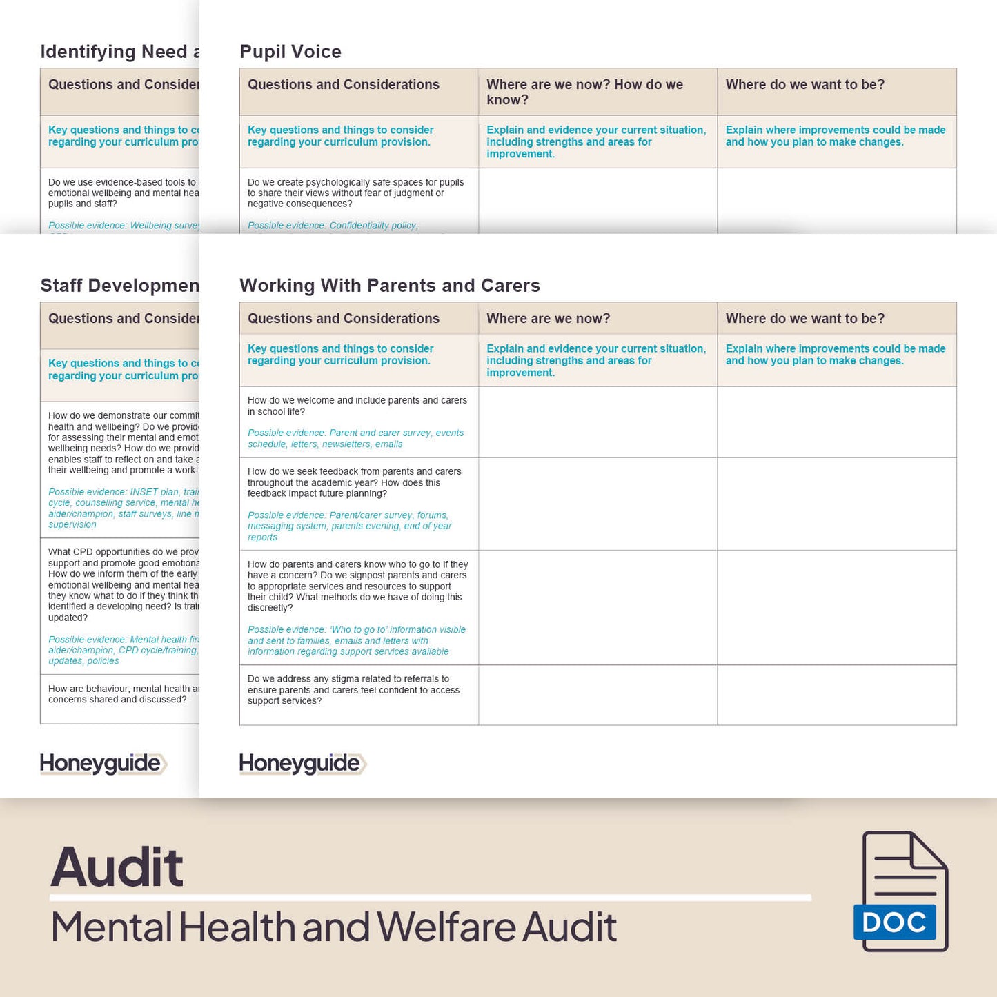Mental Health and Welfare Audit