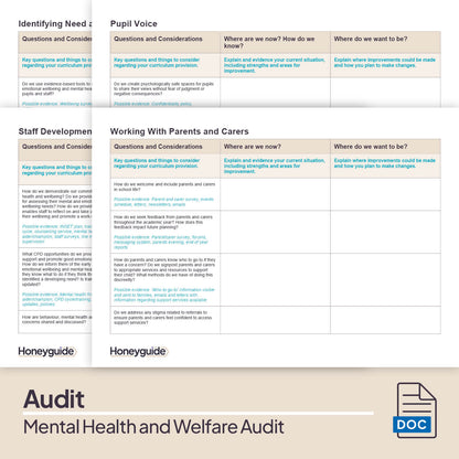 Mental Health and Welfare Audit