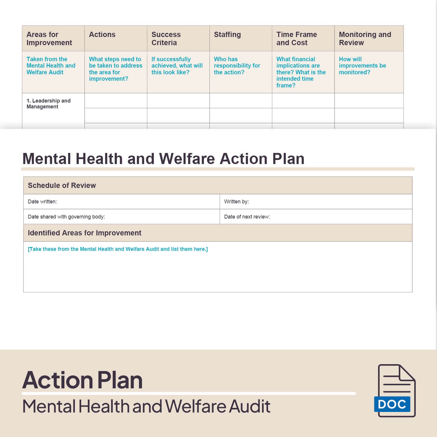Mental Health and Welfare Audit