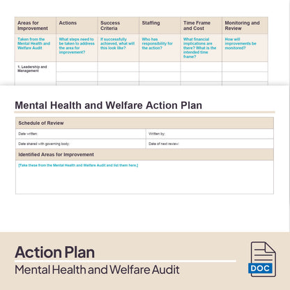 Mental Health and Welfare Audit