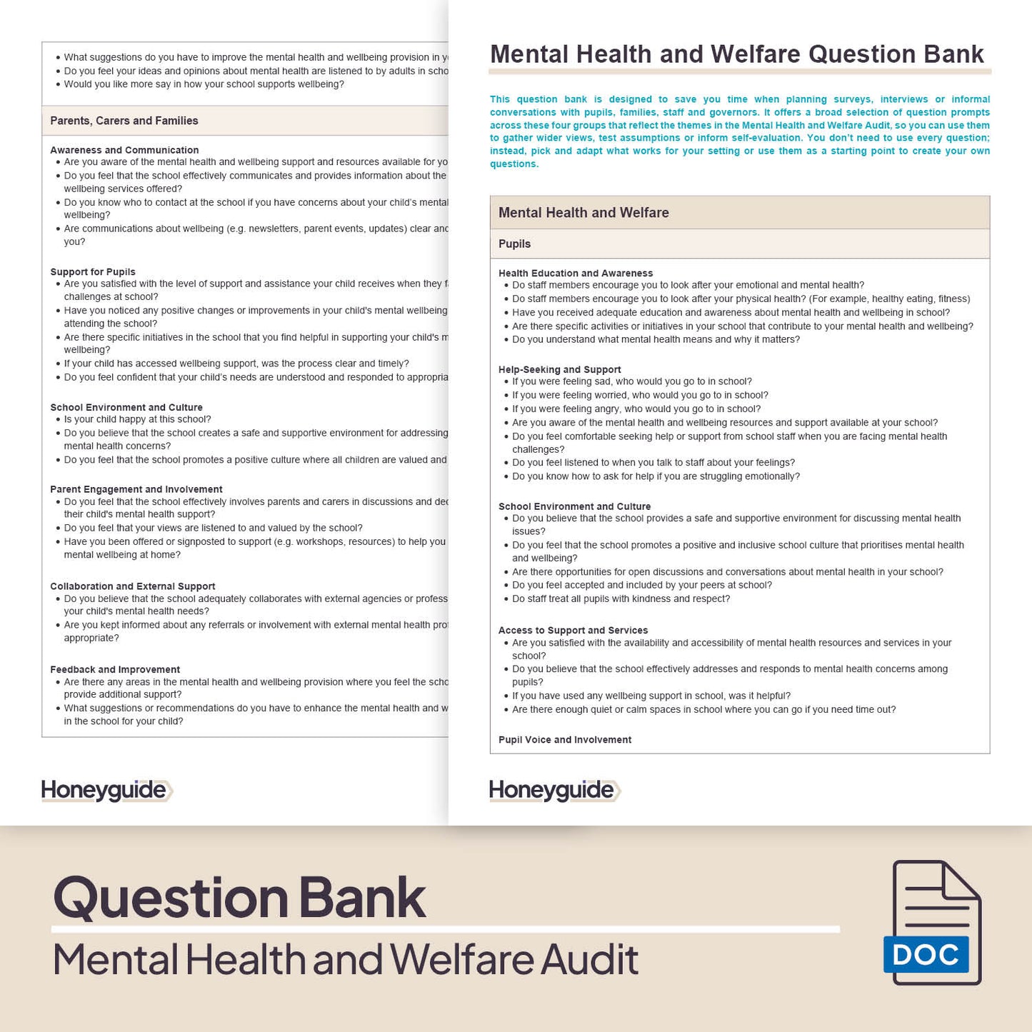 Mental Health and Welfare Audit