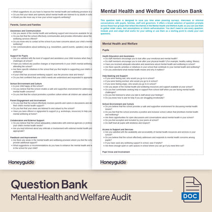 Mental Health and Welfare Audit