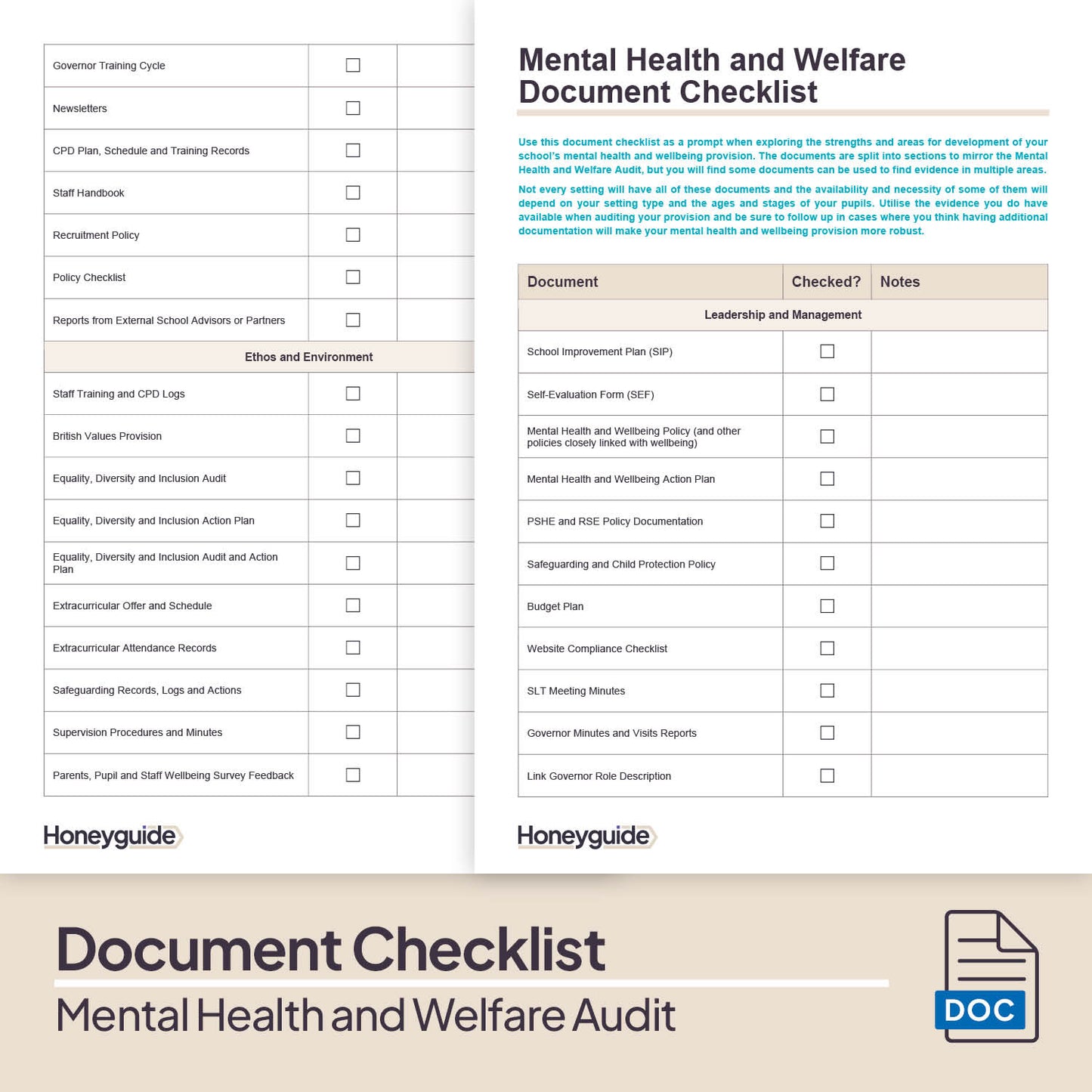 Mental Health and Welfare Audit