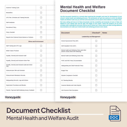 Mental Health and Welfare Audit