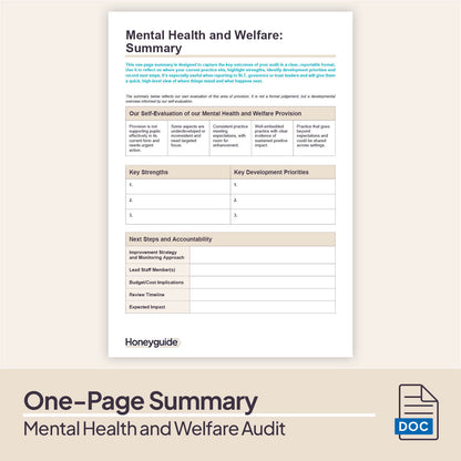Mental Health and Welfare Audit