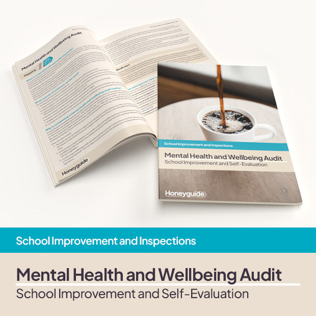 Mental Health and Wellbeing Audit