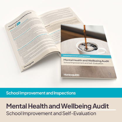Mental Health and Wellbeing Audit