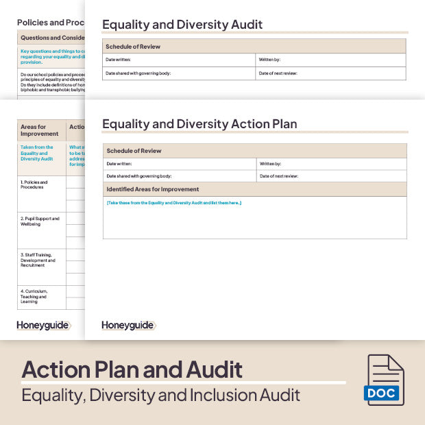 Equality, Diversity and Inclusion Audit