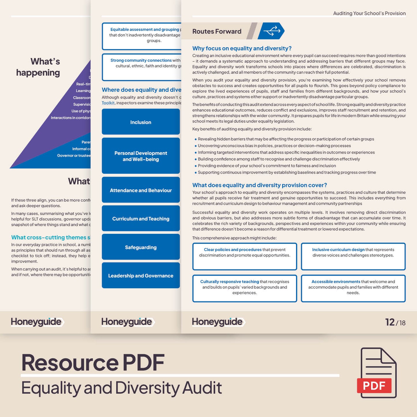 Equality and Diversity Audit