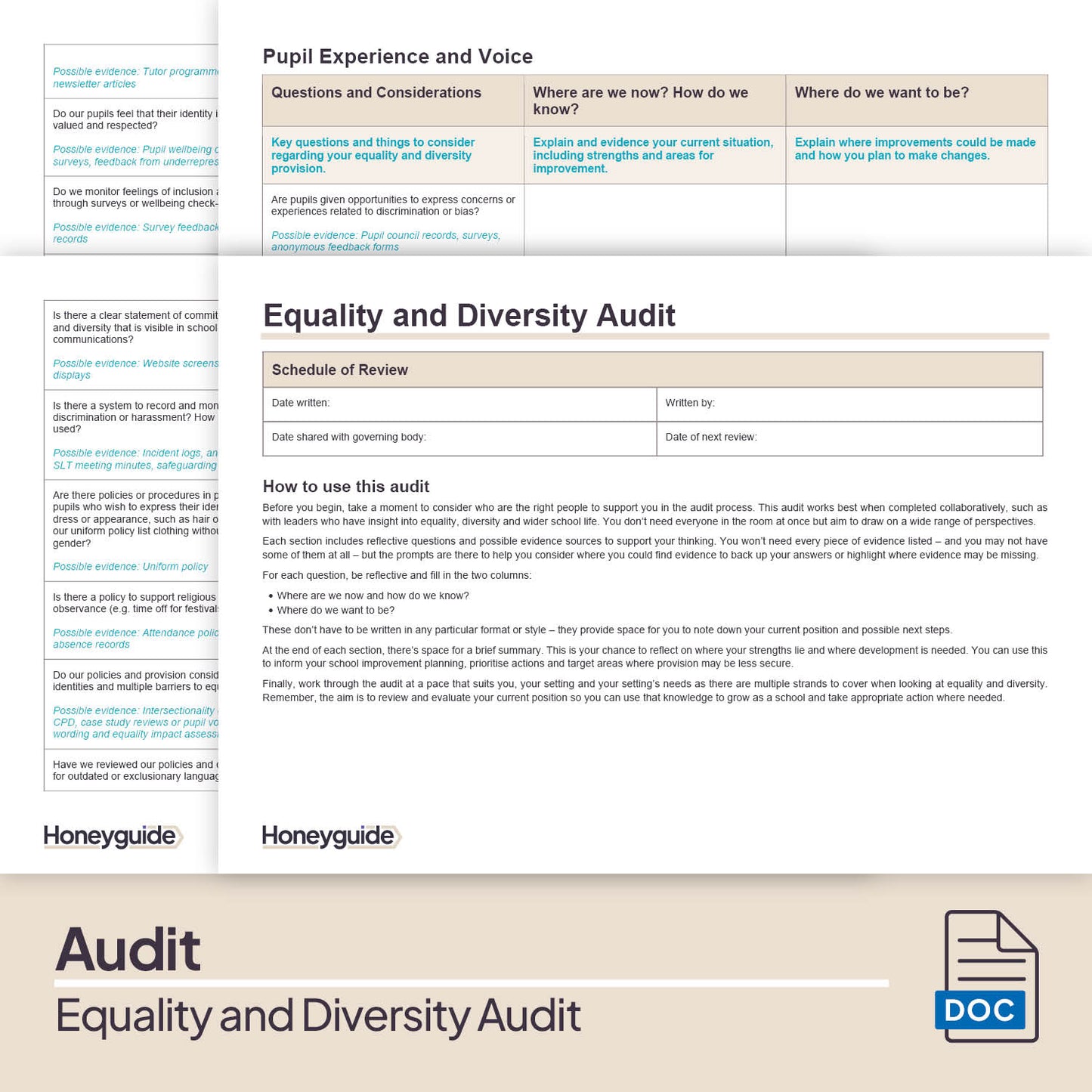 Equality and Diversity Audit