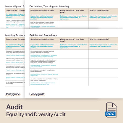 Equality and Diversity Audit