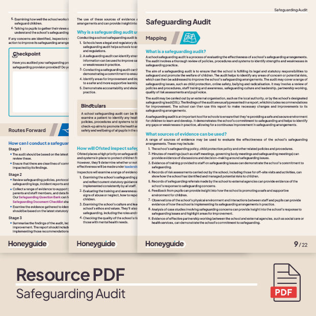 Safeguarding Audit