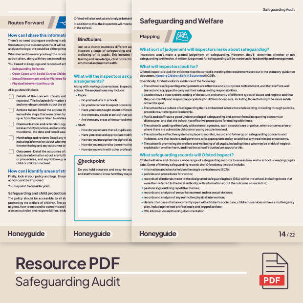 Safeguarding Audit